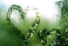 范霍伊东克：没人料到费耶诺德能赢，那个白痴特奥帮了我们.