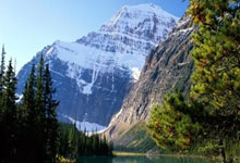 美众议员称特朗普政府将取消对近东救济工程处的资助.